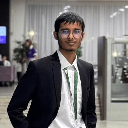 Mahdi Bin Ferdaus